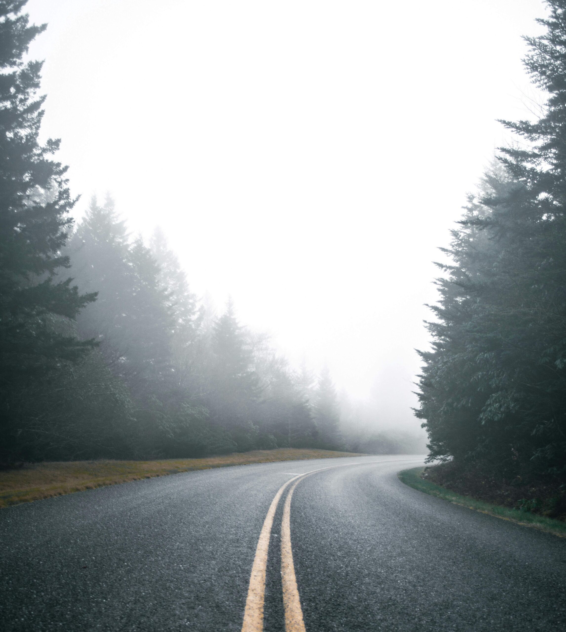 foggy road with low visibility representing stability before clarity in life transitions